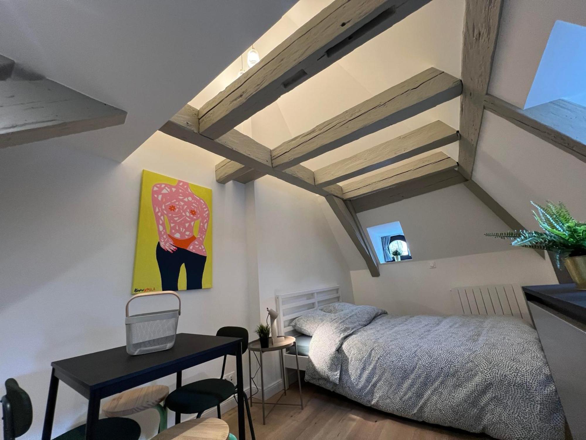 Le Salzmann Apartment Strasbourg Exterior photo